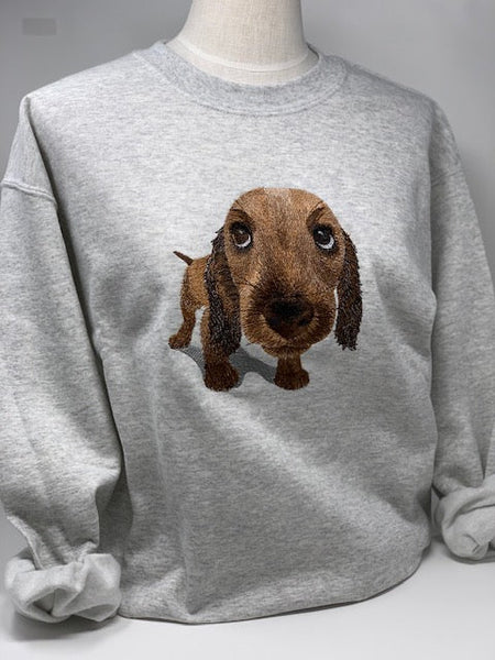CoCo Dachshund Hoodie  The Ultimate Swag for Your Dachshund